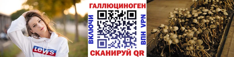 Псилоцибиновые грибы мухоморы  где можно купить   Артёмовск 